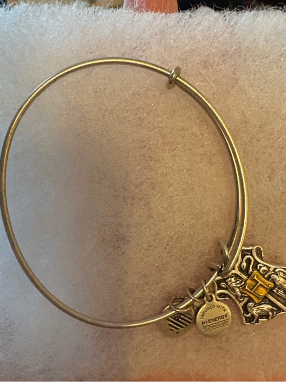 Alex and Ani Silver Hogwarts Crest Charm Bangle with Yellow Accent